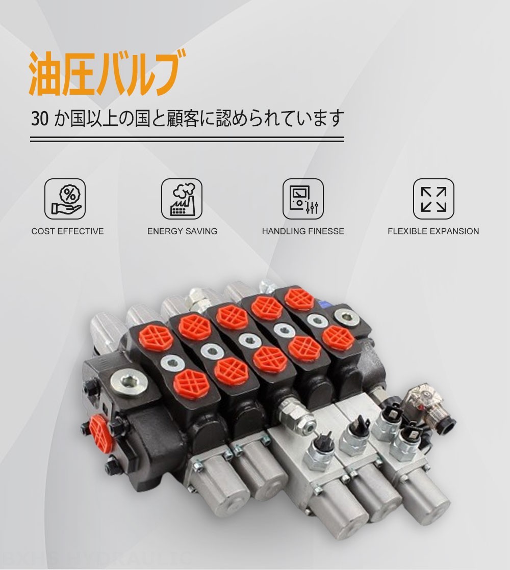 SD8 手動 5スプール セクショナル方向弁